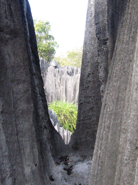Tsingy