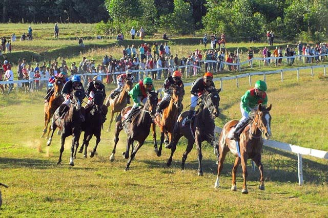 Courses chevaux Ambatolampy